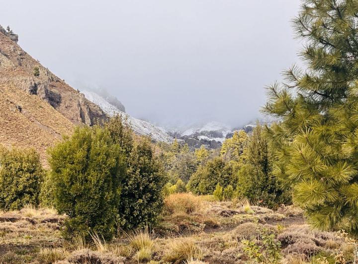 Terreno · 600m²