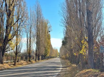 Terreno , Vistalba · Terreno en Venta, Vistalba, Luján de Cuyo, Mendoza