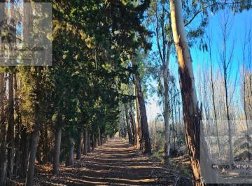 Campo · 120m² · 2 Ambientes · Venta - Chacra 50 Ha - en Producción - Frente de Ruta - Añelo - Neuquén