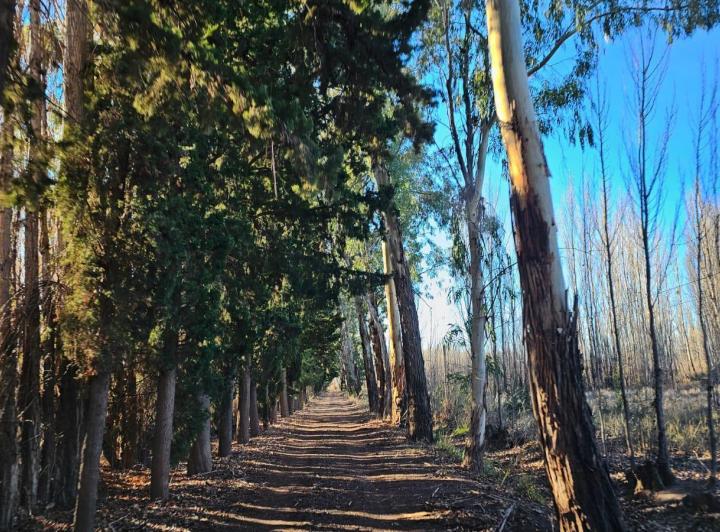 Campo · 120m² · 2 Ambientes