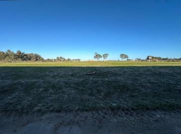 Terreno · 2000m² · Terreno en Venta Parque Industrial Pte. Perón Guernica