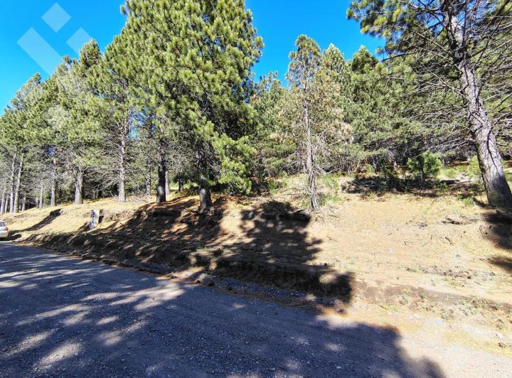 Terreno · 805m²