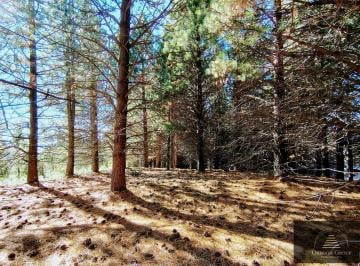 Terreno · 979m² · Lote en Venta en San Martín de Los Andes, El Remanso