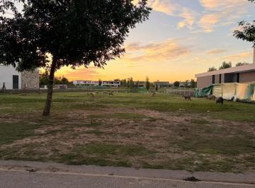 Terreno · 1210m² · Lote en Venta en Terravista | Fondo a La Laguna