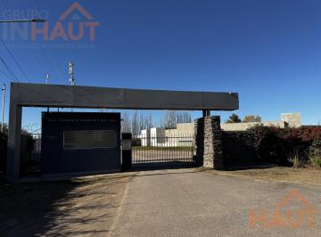 Terreno · 1750m² · Terreno en Cipolletti