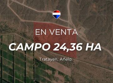 Campo · 24ha · Venta Campo 24.36has Tratayen Añelo