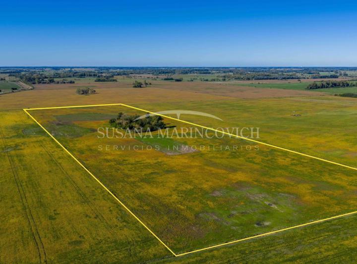 Campo · 170000ha