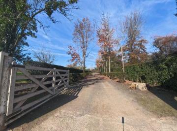 Quinta vacacional de 6 ambientes, Suipacha · Chacra en Venta en Suipacha con Casa, Galpón, Pileta y Casa de Huéspedes Sobre Asfalto