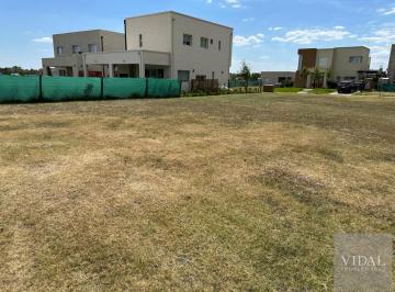 Terreno · 462m² · Terreno - Santa Lucia