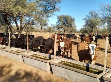 Campo · 43000000ha · Venta Campo en Lucio V Mansilla