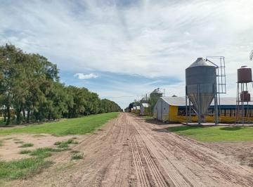 Campo · 25ha · 11 Ambientes · Granja Avicola en Venta 30 Galpones en 25 de Mayo Buenos Aires