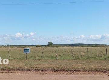 Campo · 160000ha · Bajo de Precio! Campo en m. I. Loza Curuzú Cuatiá