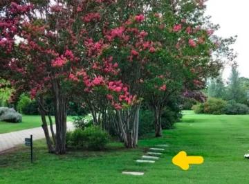 Bóveda, nicho o parcela , Malvinas Argentinas · Jardín de Paz - Excelente Parcela de Fácil Acceso - Ubicación Privilegiada!