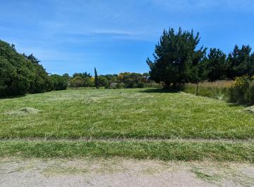 Terreno , Mar del Plata · Dueño Vende – Lote 750 m² a Pocas Cuadras del Mar – San Eduardo del Mar