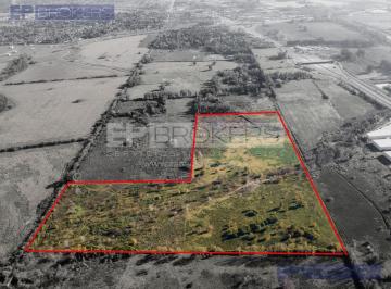 Terreno · 15ha · Terreno en Fátima
