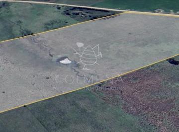 Foto1 · Campo de 12 Has 957 m² en Paraje Partido Norte