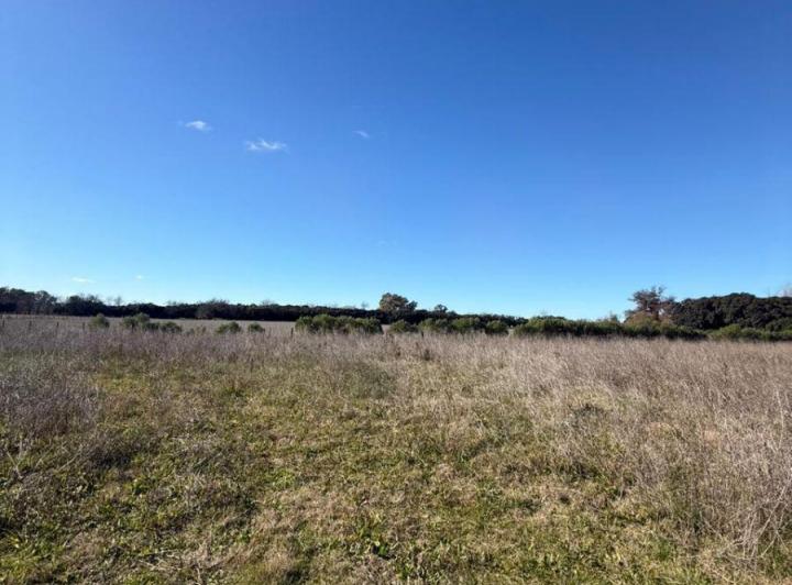 Campo · 4ha