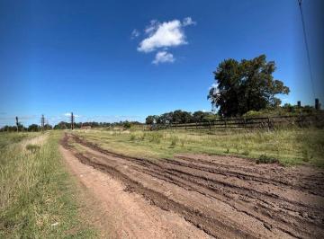 Campo · 7ha · Venta Ha en Chascomus