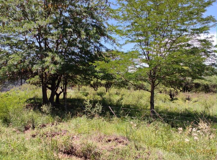 Terreno · 1030m²