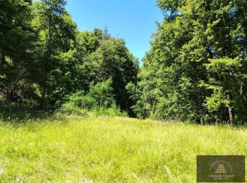 Terreno · 5100m² · Hectáreas en Venta Pirehueico Región de Los Ríos, Chile Cerca del Paso del Hua Hum