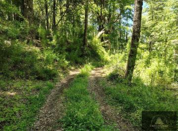 Terreno · 40000m² · Ha en Venta en Pirehueico Región de Los Ríos, Chile a m del Paso Hua Hum
