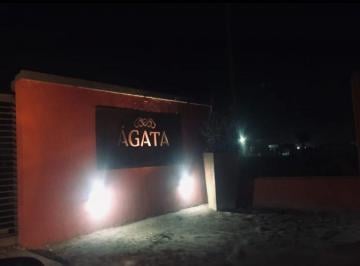 Terreno , El Sauce · Lote en Venta