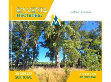 Campo · 35389m² · 1 Ambiente · Campo en Venta en Cañuelas