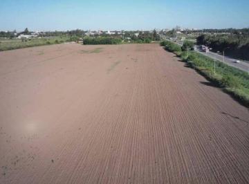 Campo en Venta · Campo Industrial en San Lorenzo