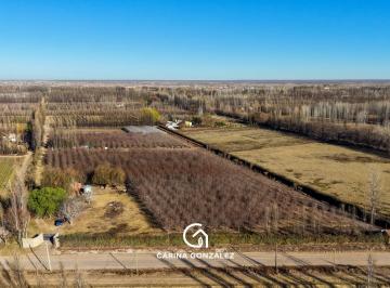 Campo · 70m² · 2 Ambientes · Chacra en Centenario
