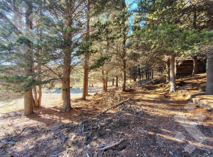 Terreno · 919m²