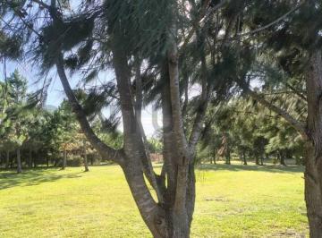 Terreno · 2000m² · Camino Real y Montevideo. Lote en Venta - La Balandra