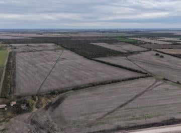 Campo · 170m² · Campo Mixto de 170has en Venta!