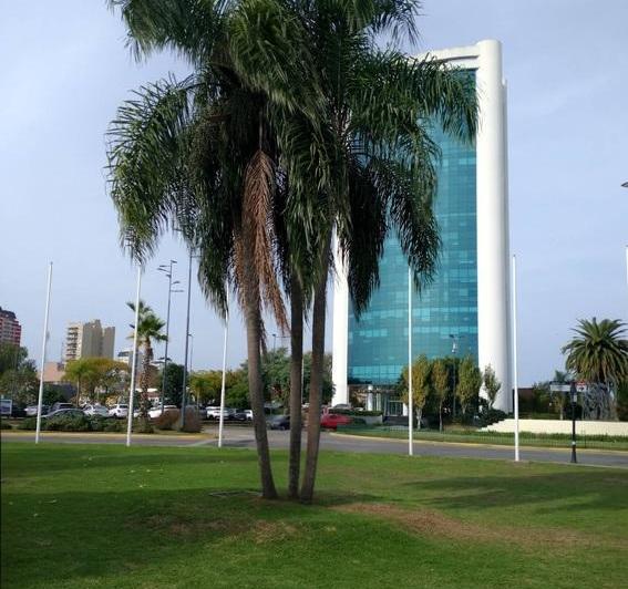 Oficina comercial · 225m² · 1 Ambiente · 2 Cocheras