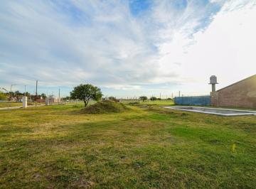 Terreno · 715m² · Venta Terreno de 715 m² en Solares de Korn Alejandro Korn