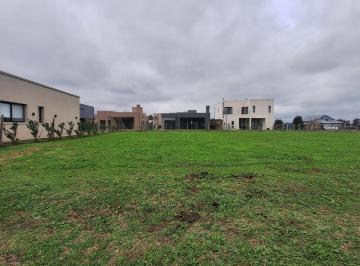 Terreno · 453m² · Terreno en Santo Tomás