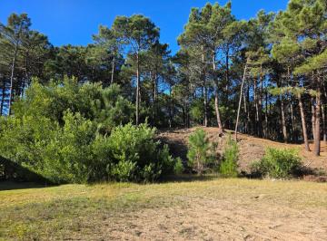 Terreno · 2683m² · Terreno en Venta - Barrio Álamos - en Altura - 2.683 m² - Cul de Sac