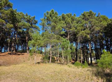 Terreno · 1714m² · Terreno en Venta - Barrio Álamos - en Altura - 1.714 m² - Cul de Sac