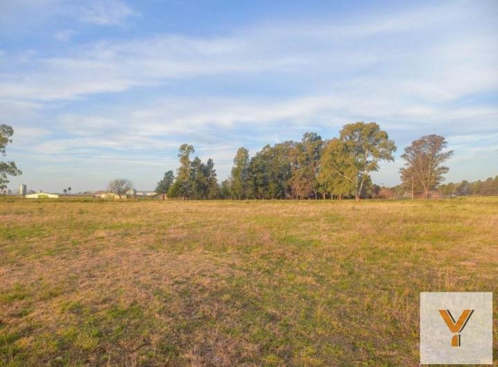 Terreno · 140000m²