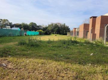 Terreno · 1081m² · Lote en Venta en Don Carlos, Manuel B. Gonnet