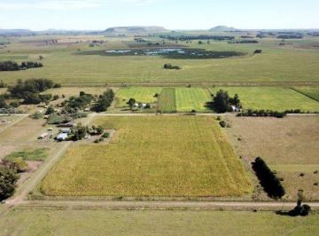 Campo · 40000m² · Chacra Lote 4 Ha Los Pinos