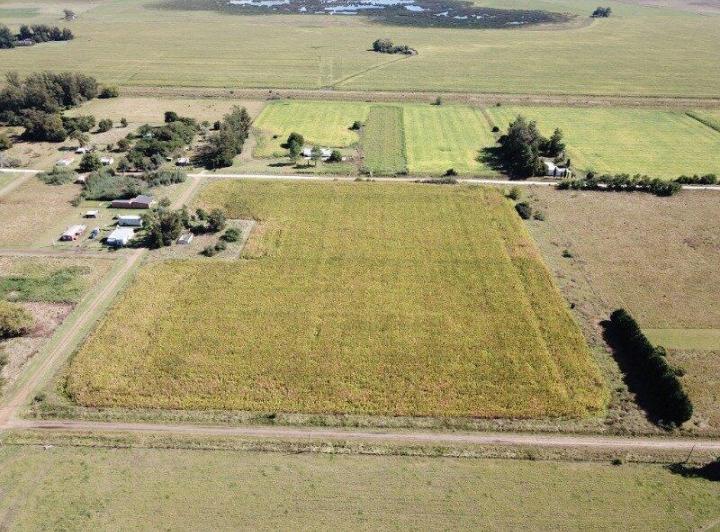 Terreno · 1000m²