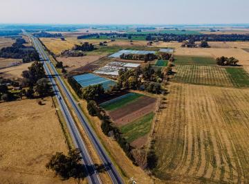 Terreno · 270893m² · Campo de 27 Ha a La Venta Sobre Ruta 7