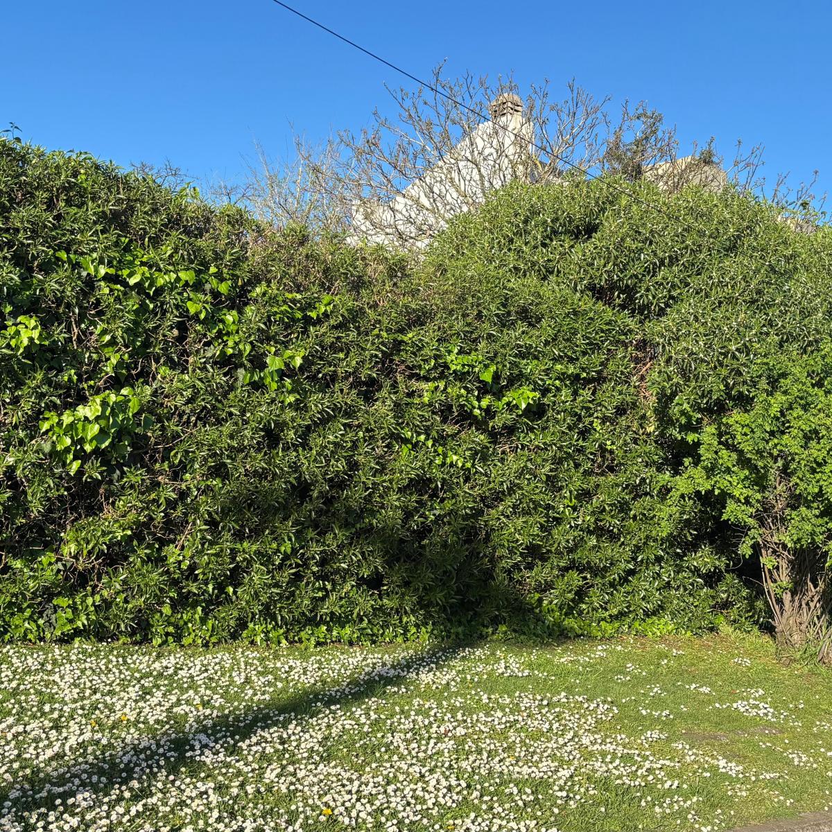 Dueño vende hermoso terreno en Barrio San Carlos