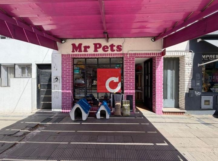 Local comercial · 60m² · 1 Ambiente