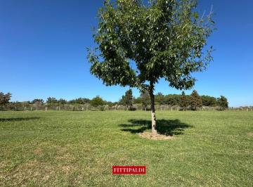 Terreno · 926m² · Terreno Lote en Venta en San Sebastian - Area 12, San Sebastian, Escobar