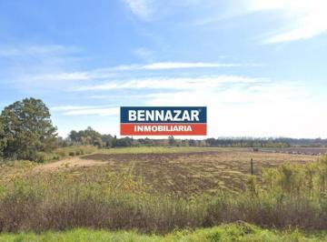 Campo · 17m² · Propiedades Rurales - Agricola - San Pedro