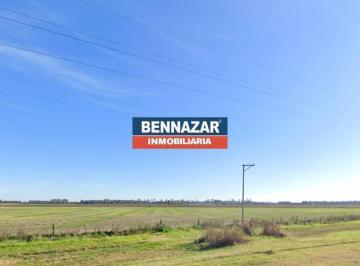 Campo · 37m² · Propiedades Rurales - Agricola - San Pedro