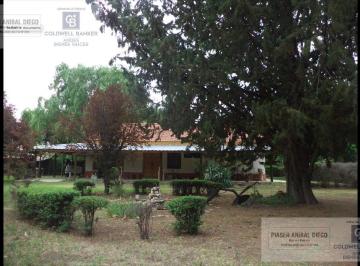 Hotel · 400m² · 9 Ambientes · 5 Cocheras · Quinta en Cuadro Benegas