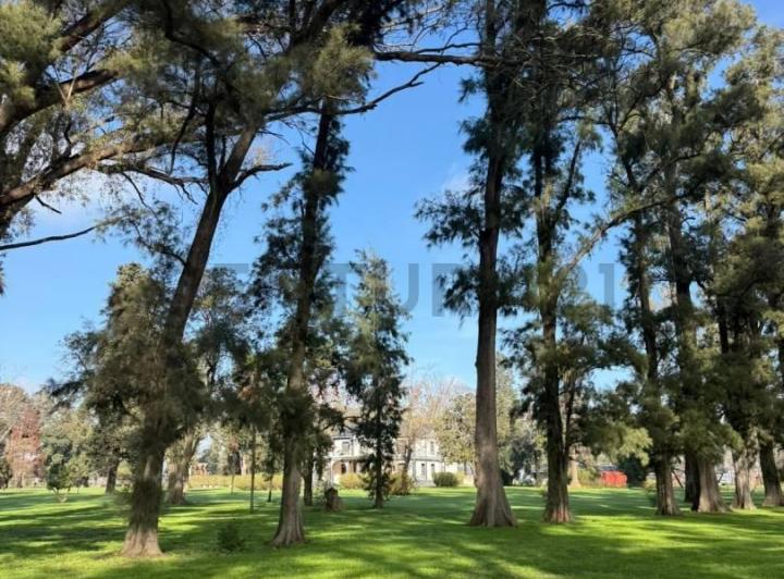 Terreno · 1000m²