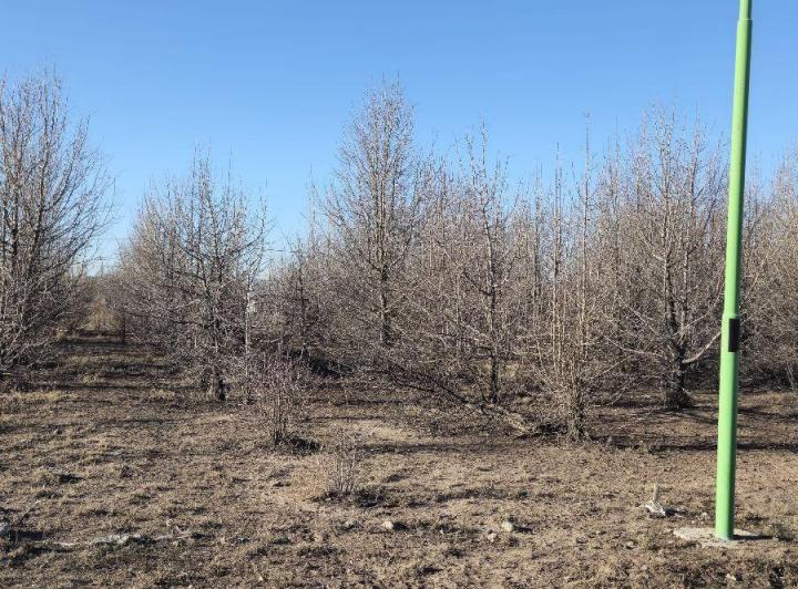 Terreno · 300m²
